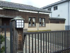 たきのこい