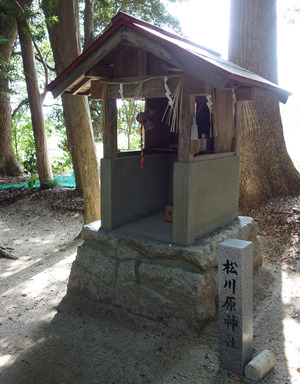 DSC05531