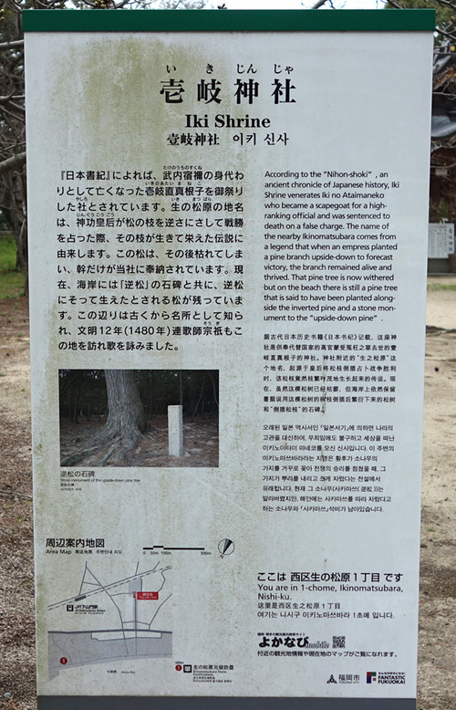 DSC07052