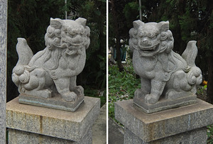 DSCF2563