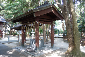 DSC05528