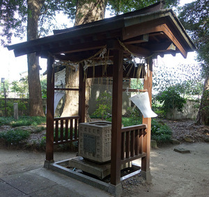 DSC05539