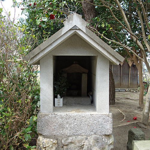 DSC07059