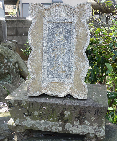 DSC06155