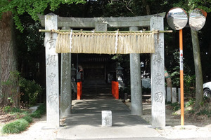 DSC05524
