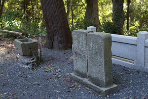 292A2455_DPP