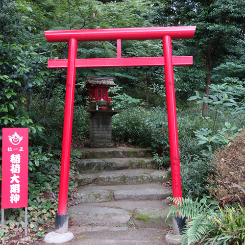 DSC06424