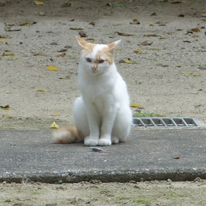 DSC05556