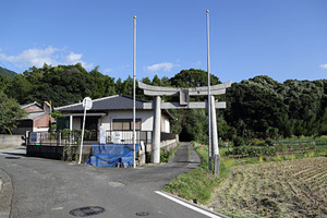 292A2443_DPP