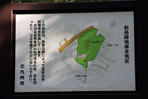 292A2448_DPP