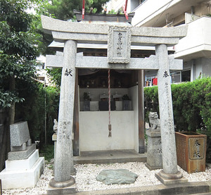 DSCF2562