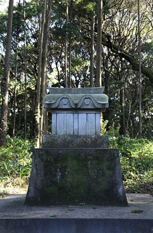 292A2456_DPP