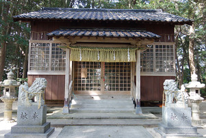DSC05533