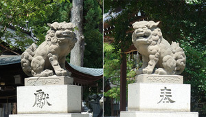DSC05206