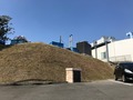 IMG_5606
