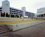 e298805d.JPG