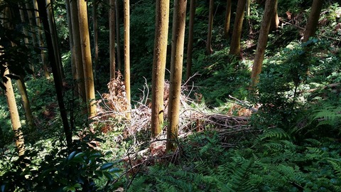 20140625_132200