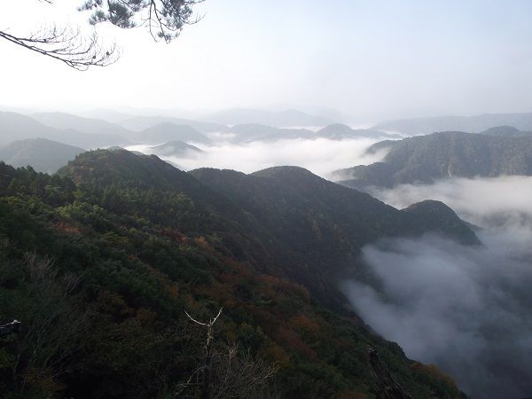 DSCF9220