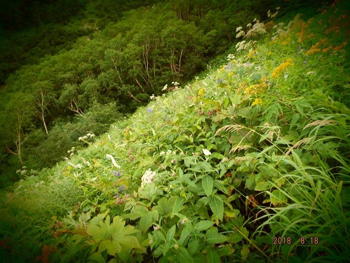 DSCF0626