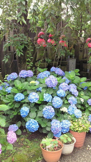 2011061909480000
