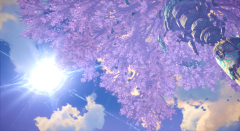 桜6