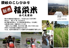 福栄米