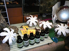 DVC00021