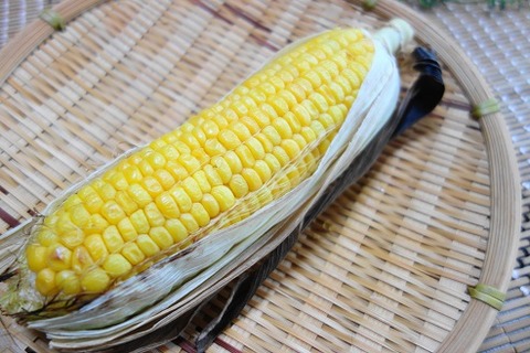 20180728g