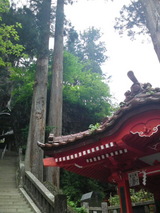 7f2b549f.jpg