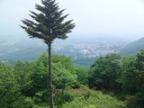 f7bfd123.jpg