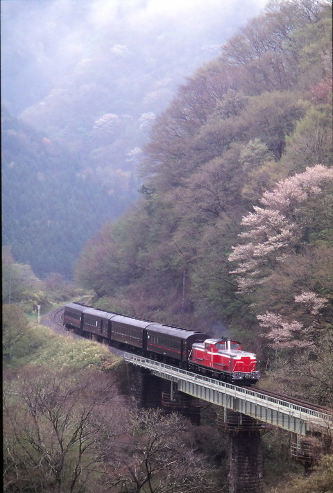 998dfb87-s.jpg