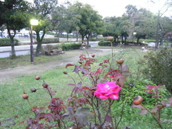 DSCF2108