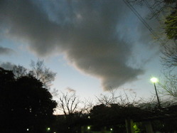 DSCF1246