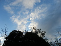 DSCF2221