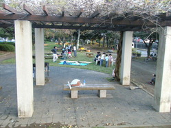 DSCF2217