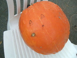 DSCF2159