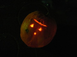 DSCF2172