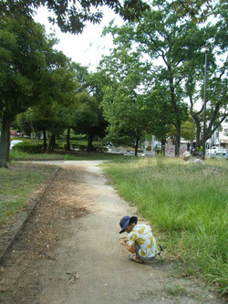 BlogPaint