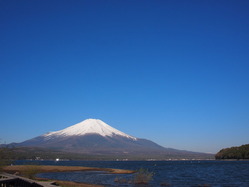 P4282887