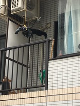 IMG-5459