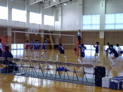 50359948.jpg