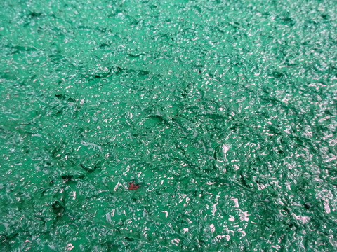 DSC02808
