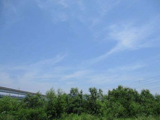 IMG_1588
