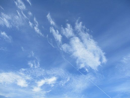 IMG_1881