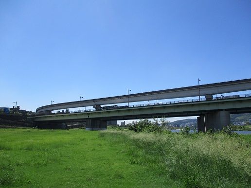IMG_2059