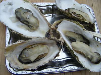 DSCF0843