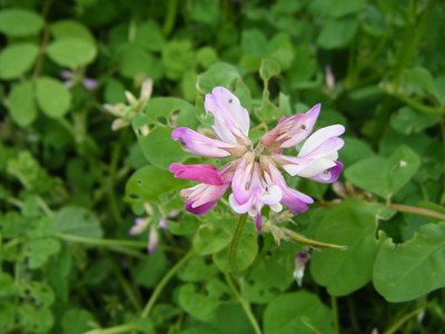 DSCF0814