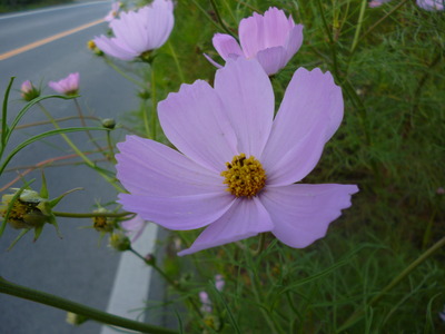 P1020158