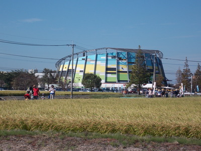 DSCN0524