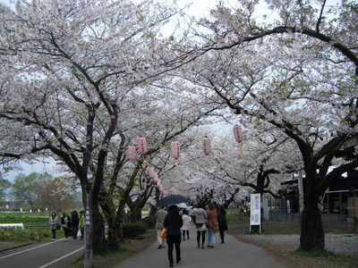 DSCF0852